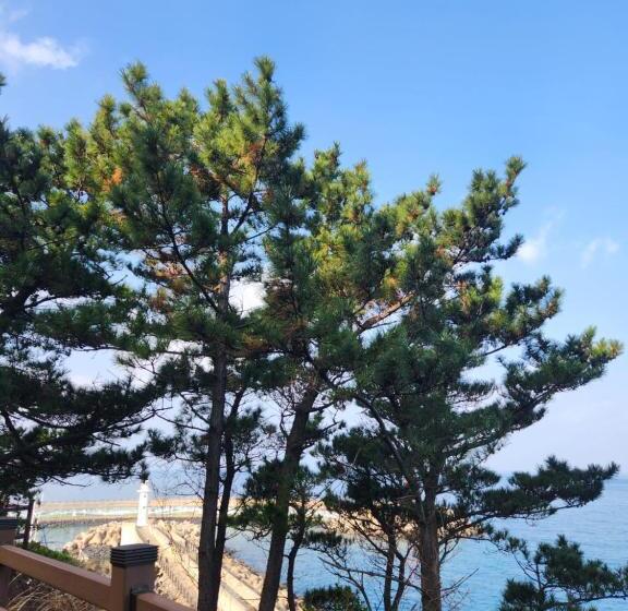 Pensió Bada Village Minbak