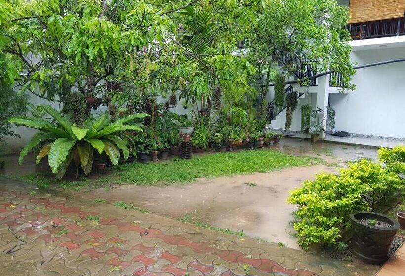 膳宿费 Blue Sky Villa