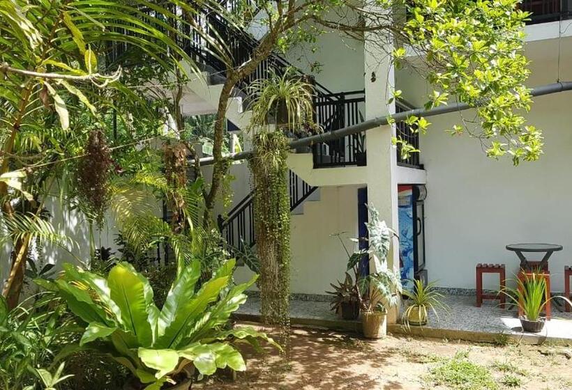 膳宿费 Blue Sky Villa