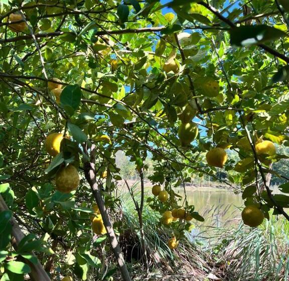 Пансион บ้านโรสแมรี่ By ชมภู ชุมแพ โฮมสเตย์ ไร่คุณต๋ง