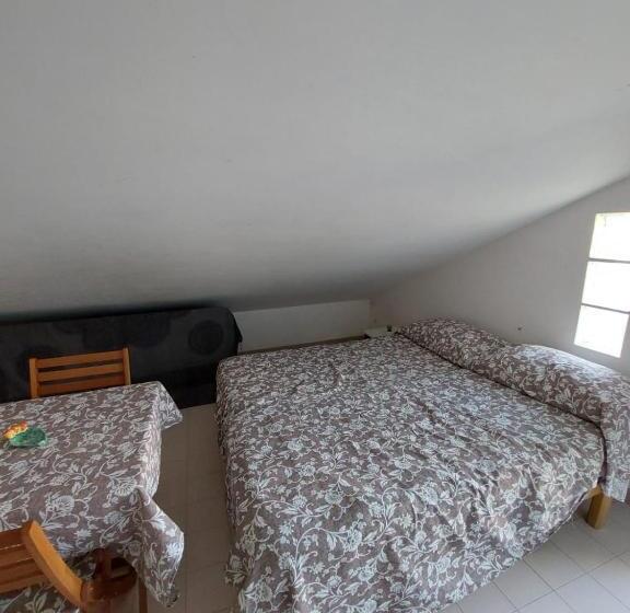 膳宿费 Mansarda Con Terrazzino