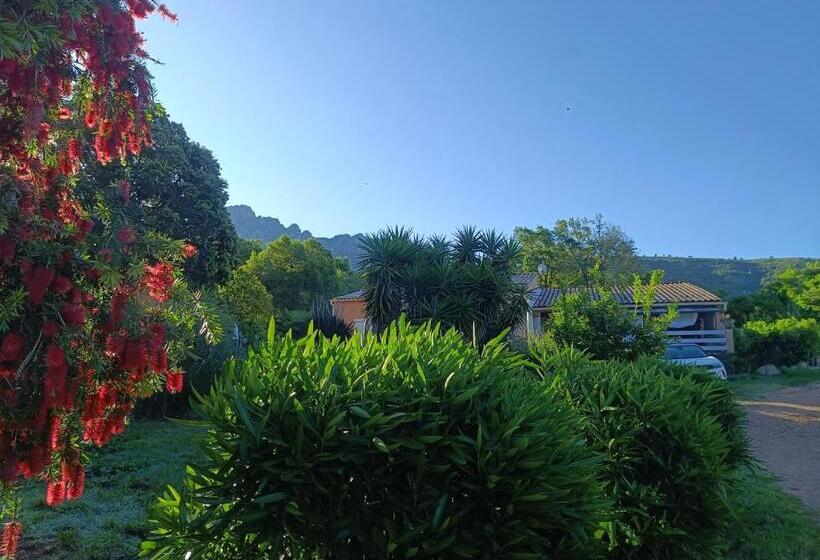 פנסיון Chambre D Hôte Cosy