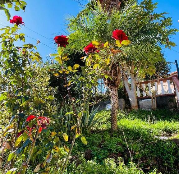 بنسيون Cozy House