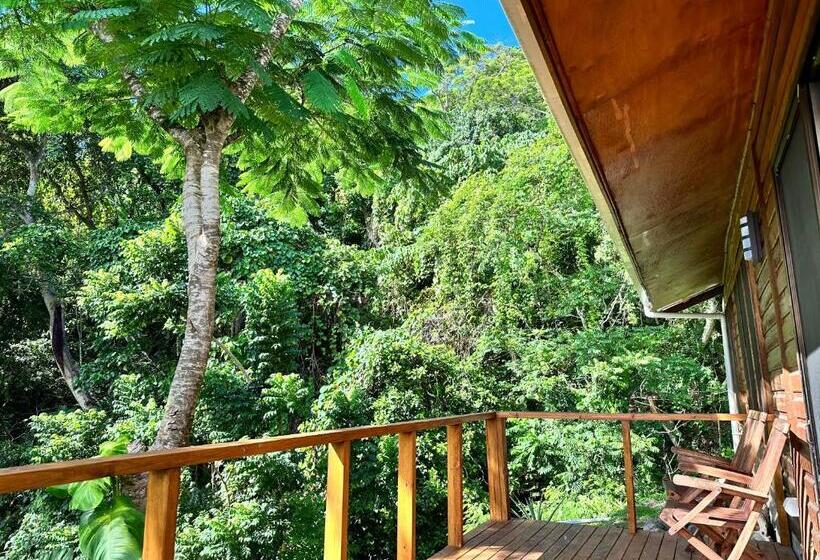 پانسیون Latui Loft