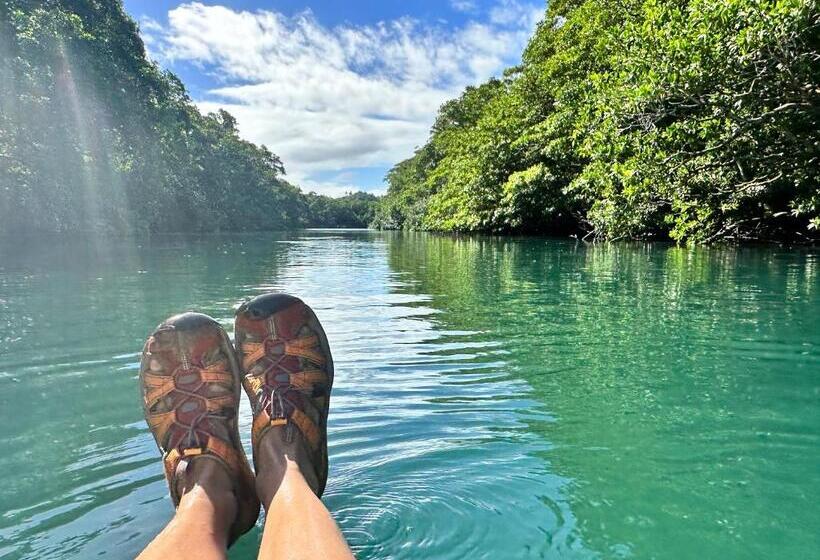 Пансион Latui Loft