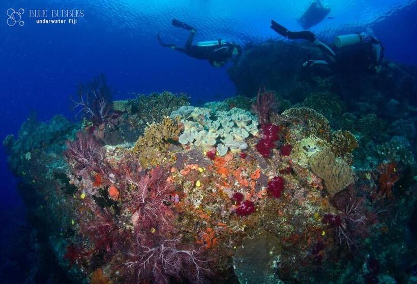 Пансион Latui Loft