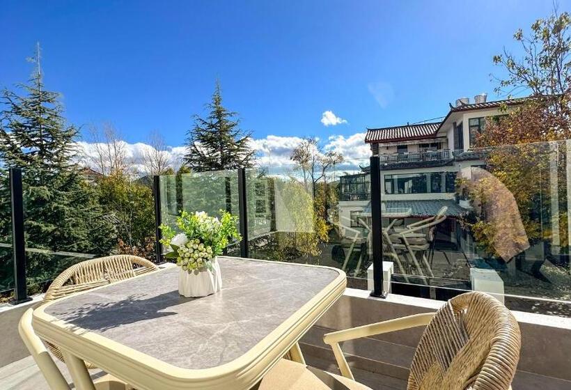 پانسیون Lijiang Painted Mountain Cloud House Boutique B&b