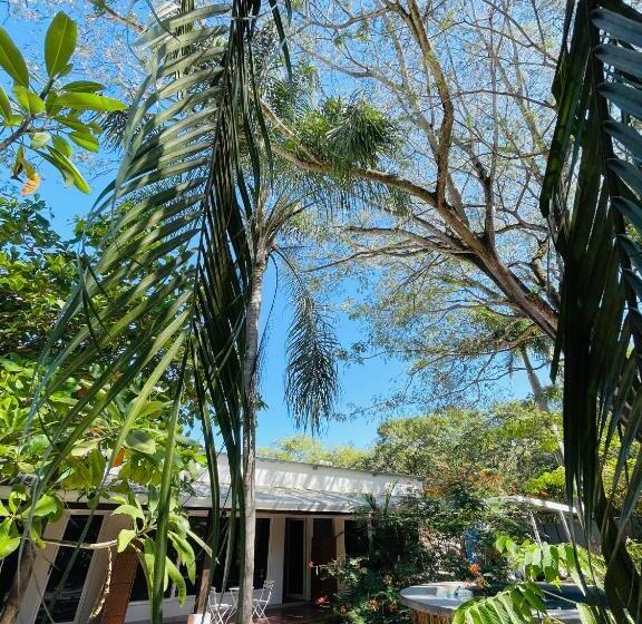 ペンション Lodge Playa Negra