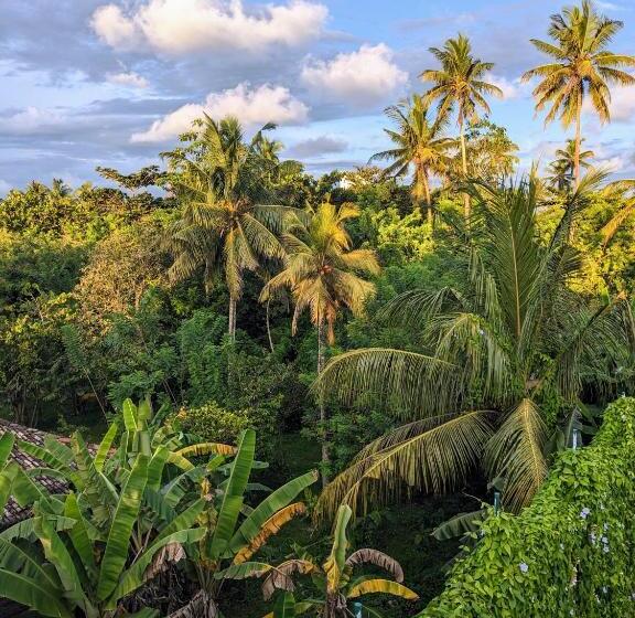 Пансион Losu Polhena