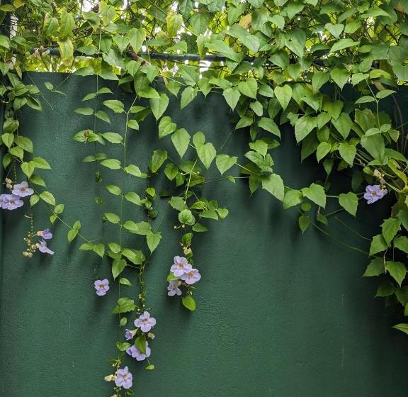 Пансион Losu Polhena