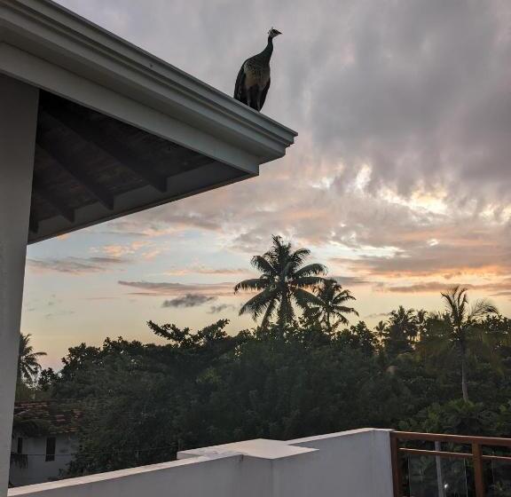 Пансион Losu Polhena