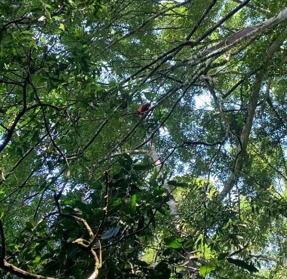 بنسيون Orchid Bugalows