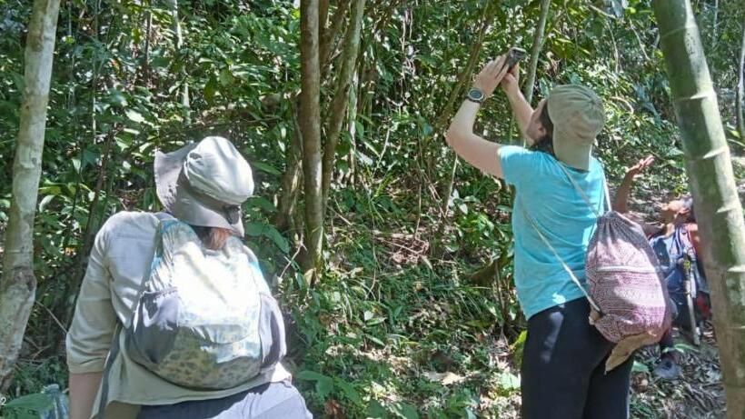 بنسيون Orchid Bugalows