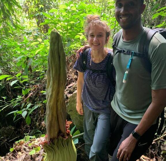 פנסיון Orchid Bugalows