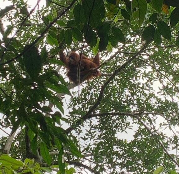 بنسيون Orchid Bugalows