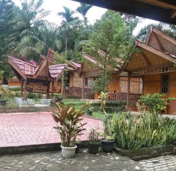 פנסיון Orchid Bugalows