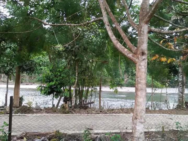 פנסיון Orchid Bugalows