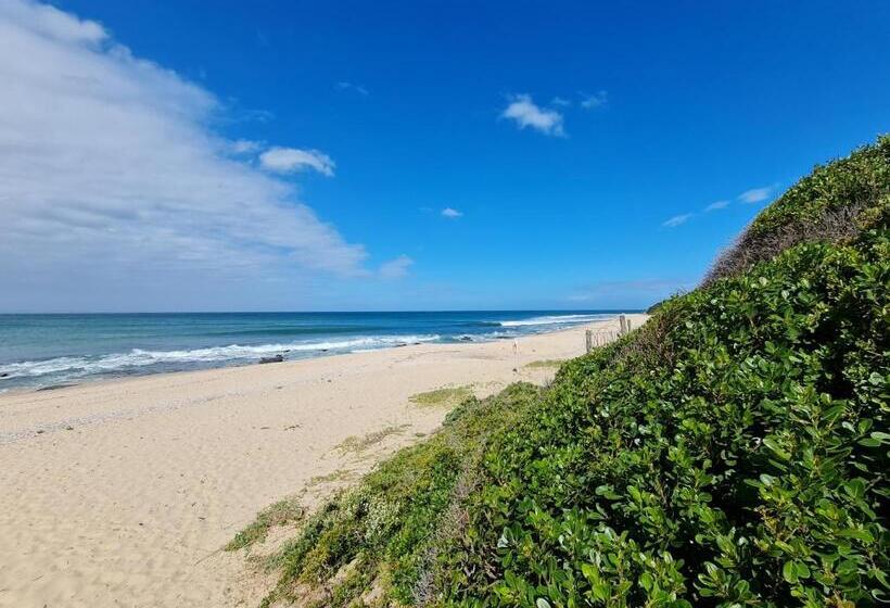 ペンション Point Villa