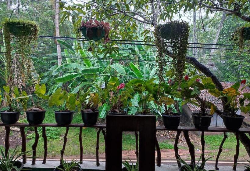 펜션 Summer House   Beach Vibes