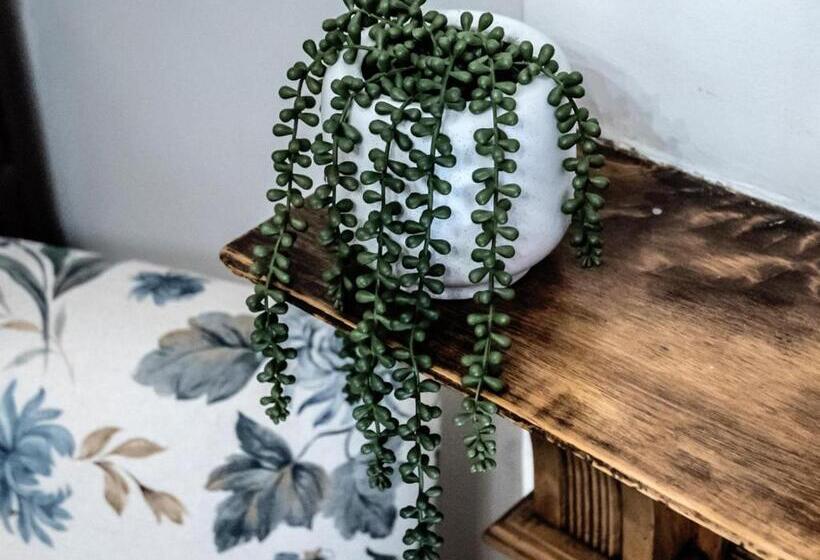 펜션 Vier Seisoene Gastehuis