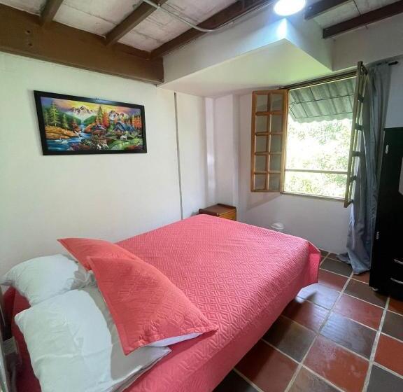 ペンション Xplora Hostel