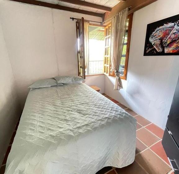 ペンション Xplora Hostel