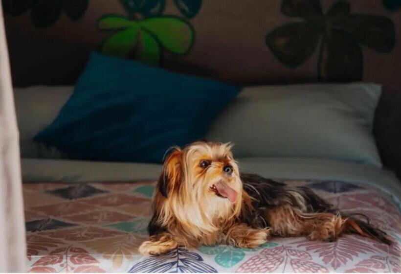 استراحتگاه La Quinta