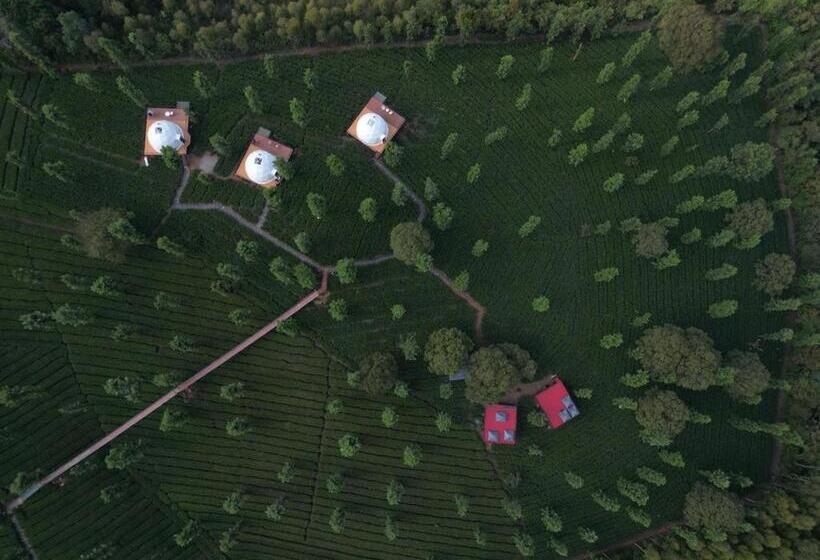 Курорт Vythiri Tea Valley I Best Hotel In Wayanad L Hotels In Vythiri Wayanad