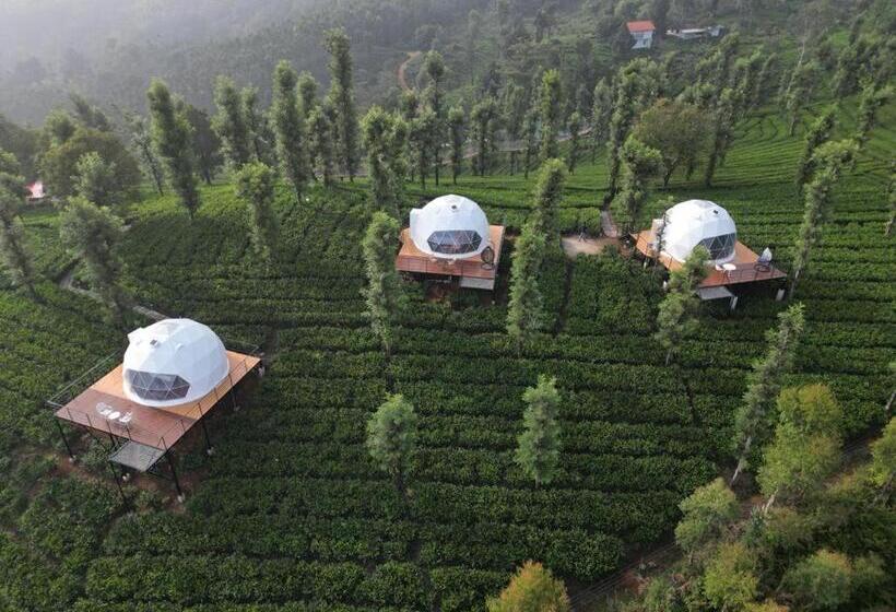 Курорт Vythiri Tea Valley I Best Hotel In Wayanad L Hotels In Vythiri Wayanad