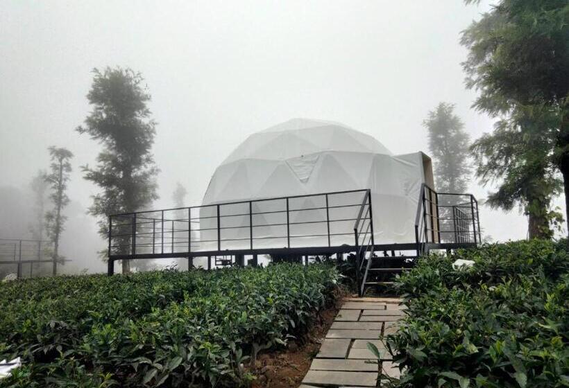 Курорт Vythiri Tea Valley I Best Hotel In Wayanad L Hotels In Vythiri Wayanad