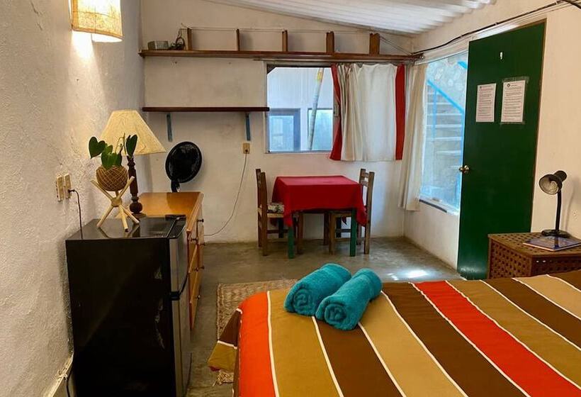 The Octopus S Garden Hostel