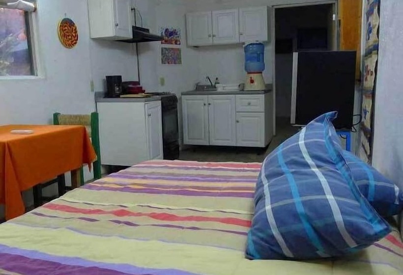 The Octopus S Garden Hostel