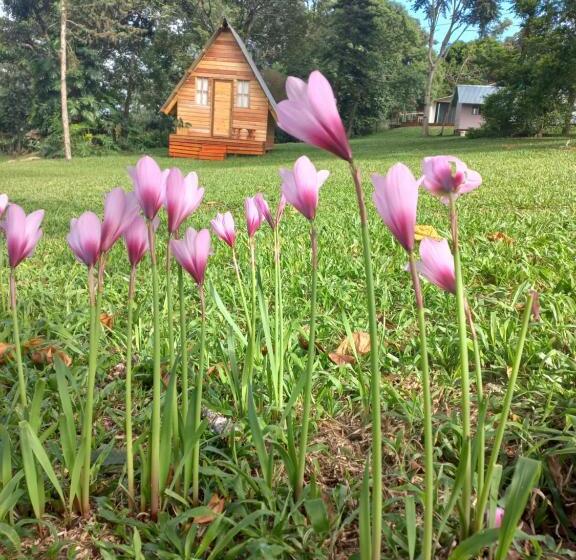 ユースホステル Del Monte Dormis