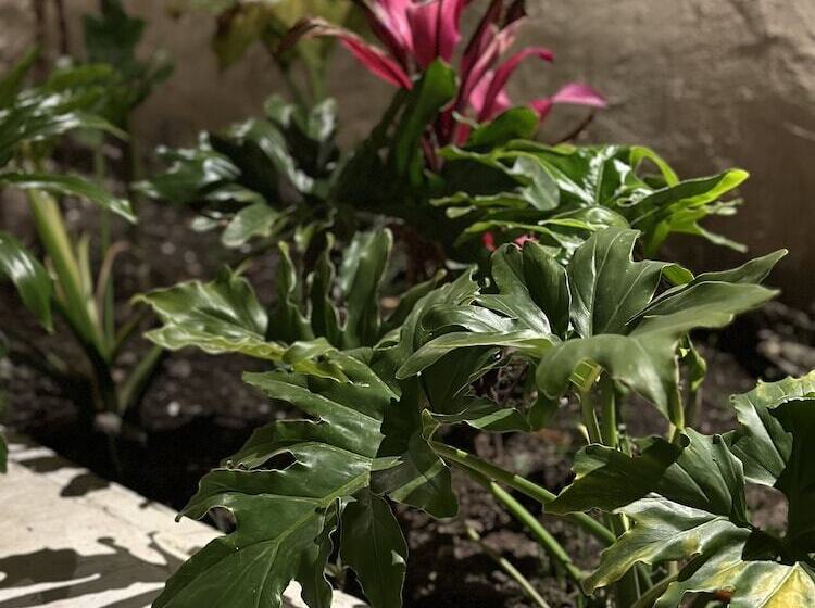 ユースホステル Mi Ranchito Casa De Huéspedes