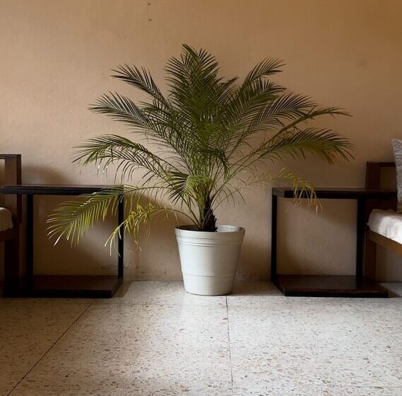 ユースホステル Mi Ranchito Casa De Huéspedes