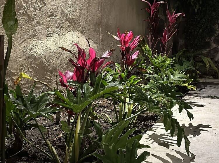 ユースホステル Mi Ranchito Casa De Huéspedes