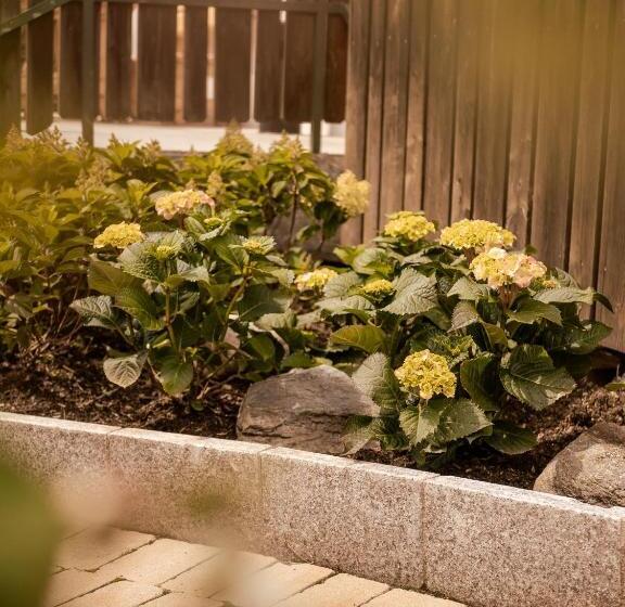 Aura Bed & Breakfast