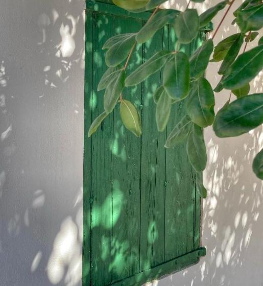 住宿加早餐 Finca De La Pansa