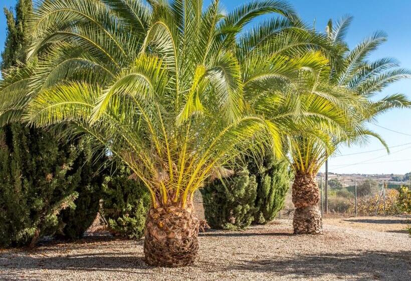 住宿加早餐 Finca De La Pansa