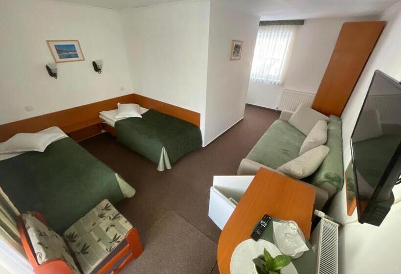 مبيت وإفطار Pensiunea Olt Centrum Olt Centrum Panzio