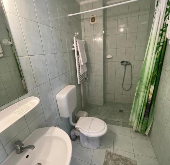 مبيت وإفطار Pensiunea Olt Centrum Olt Centrum Panzio