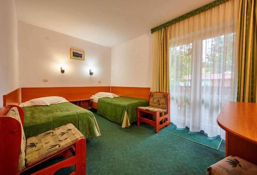 مبيت وإفطار Pensiunea Olt Centrum Olt Centrum Panzio