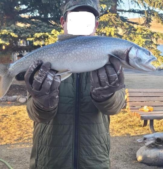 مبيت وإفطار Roundhouse Grotto