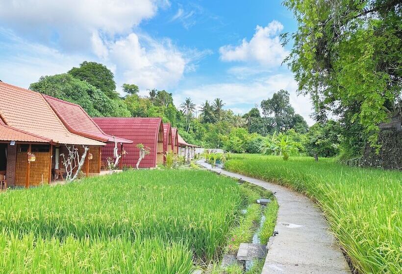 مبيت وإفطار Uma Raos Cottage