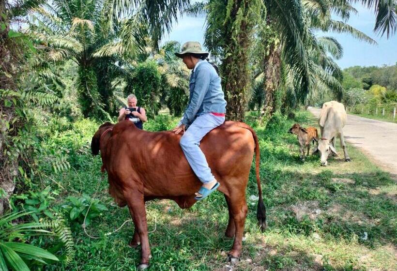 Hotel ปารมีฟาร์มสเตย์