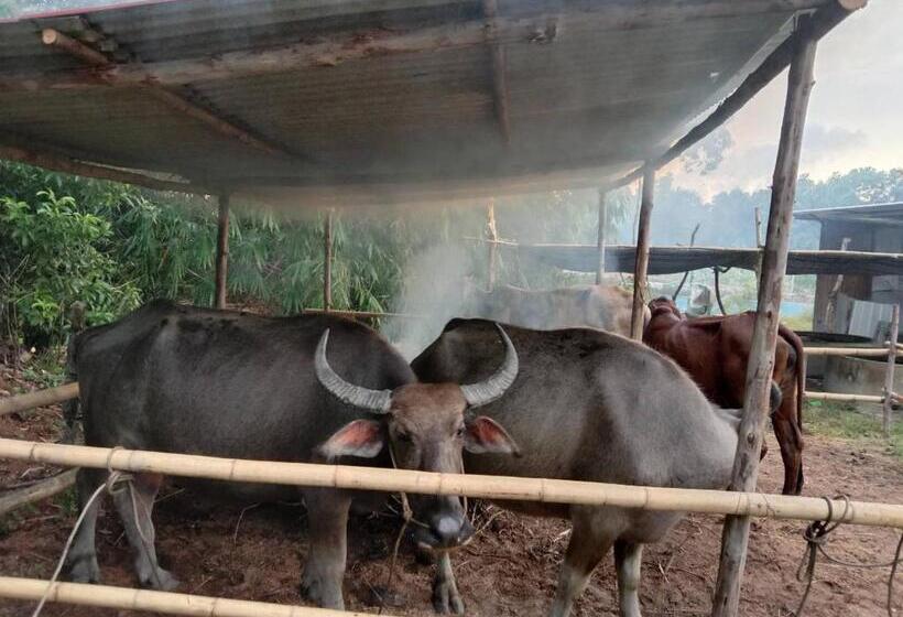 Hotel ปารมีฟาร์มสเตย์