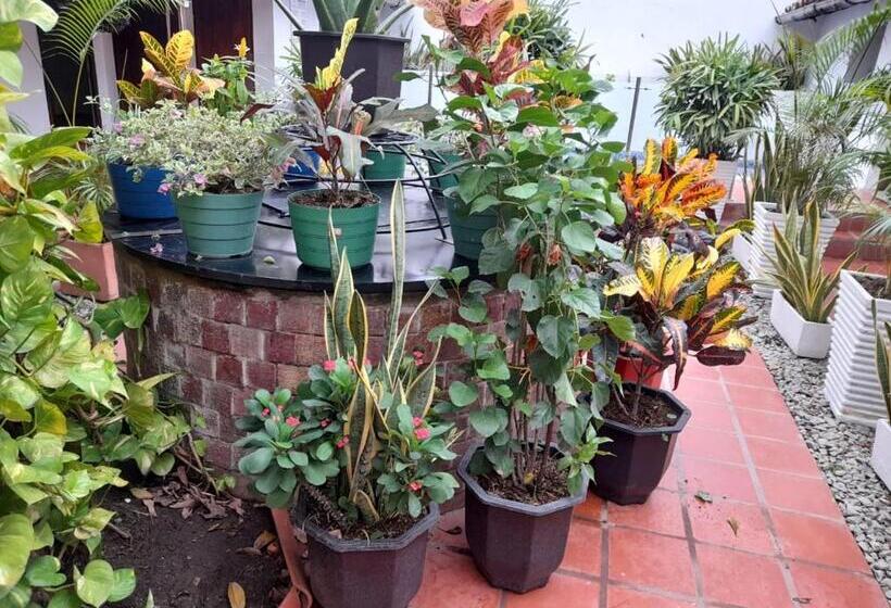 בית מלון כפרי Casa Alemann En Mompox Centro Historico Con Parqueadero Y Piscina