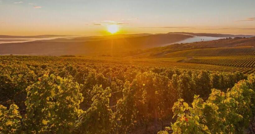 هتل Crama Mircesti