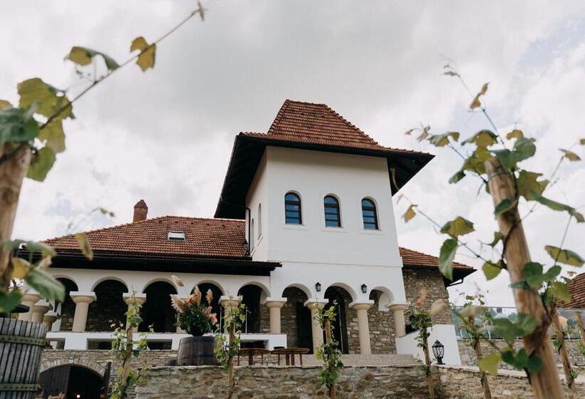 هتل Crama Mircesti