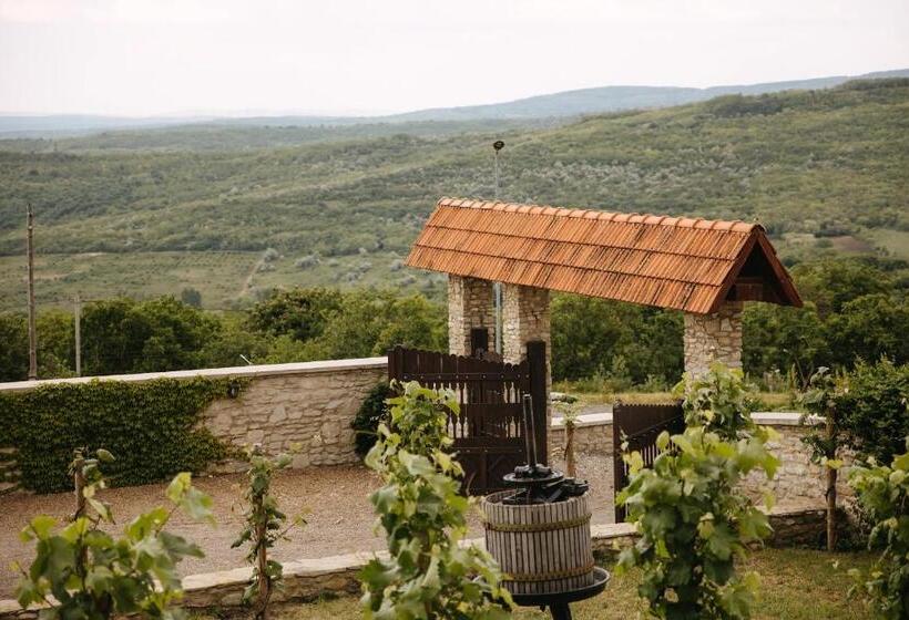 هتل Crama Mircesti